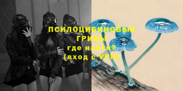 2c-b Новозыбков