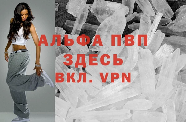 спиды Новокубанск
