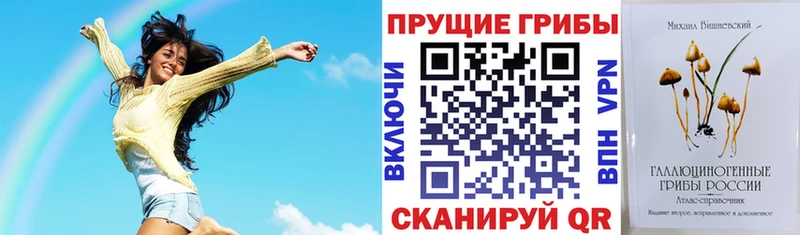 Галлюциногенные грибы прущие грибы  купить  цена  мега сайт  Бабаево 